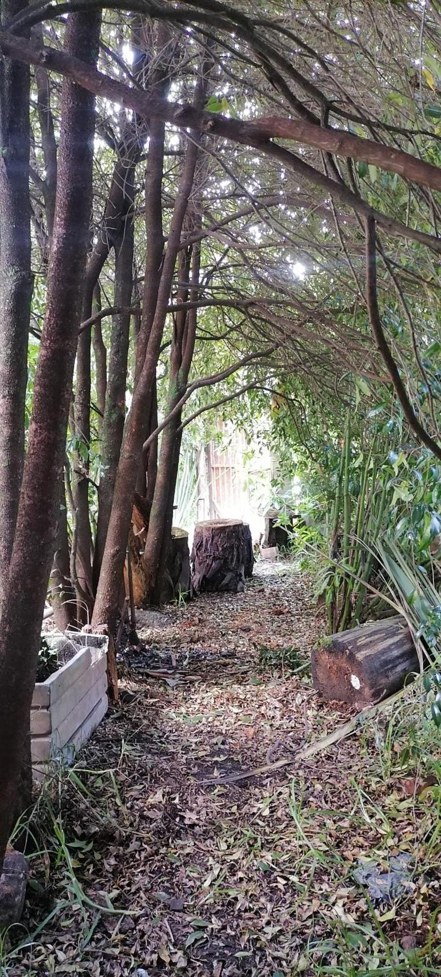 Cabana En La Calera Bersanina المظهر الخارجي الصورة
